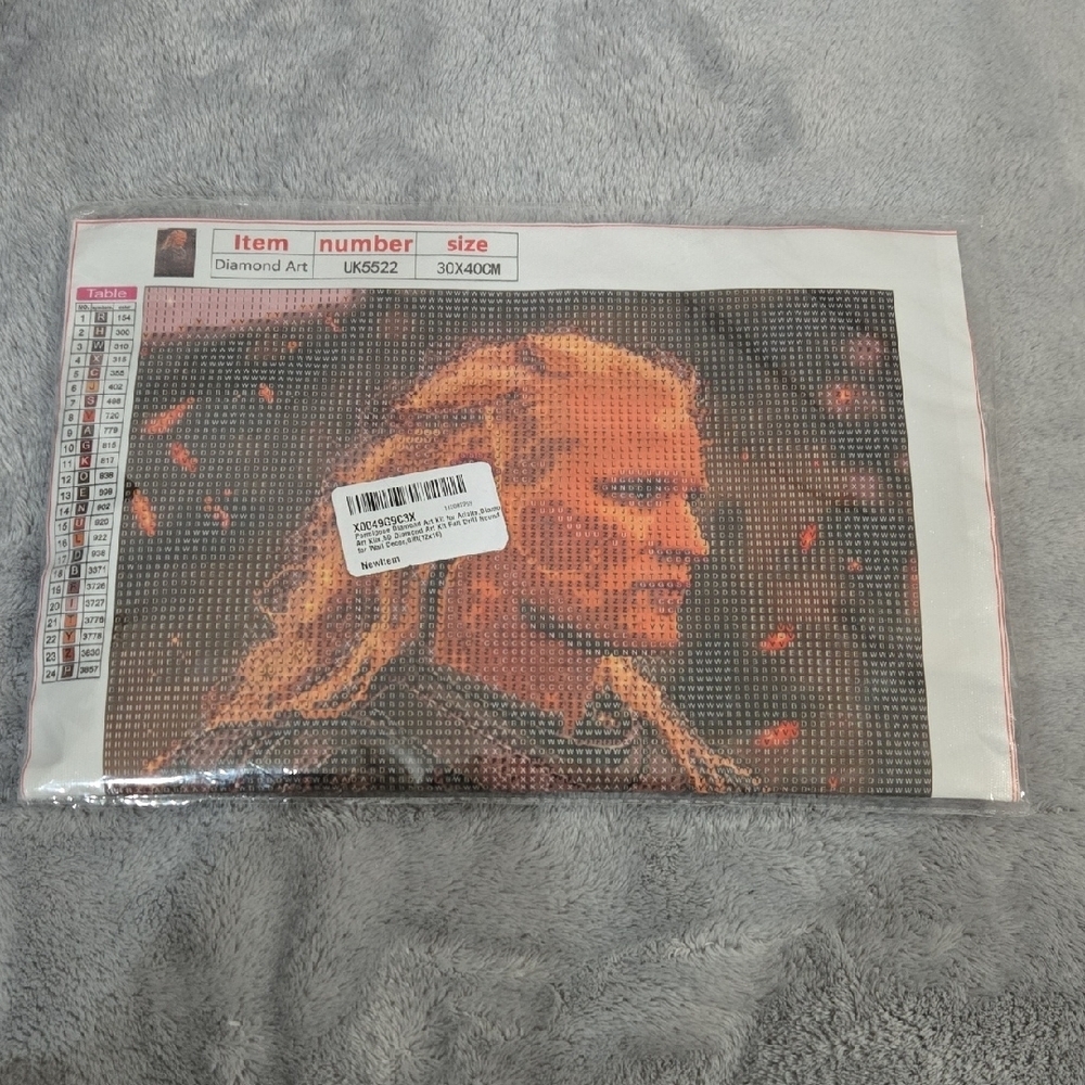 Diamond Art Kit with Warrior Design